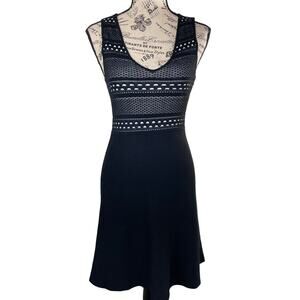 BCBGenration Sweater Dress Fit and Flare Knit Dress Size XS